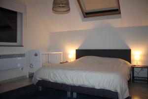a bedroom with a large bed with two lamps at Villa Elsa in Durbuy