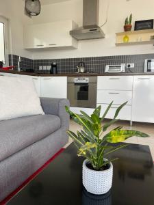 a living room with a couch and a plant on a table at Simons Apartments in Sliema