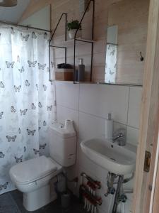 a bathroom with a toilet and a sink at Purvēveri in Tukums
