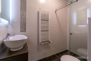 un bagno con wc e doccia in vetro di GREEN ViEW APARTMENTS a Kaludjerske Bare
