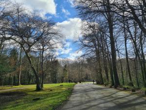 una carretera en un parque con árboles y césped en Quay village 16, en Westport