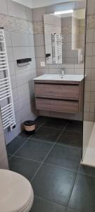 bagno con lavandino e servizi igienici di F2 Résidence L'ALIVETU a Bastelicaccia