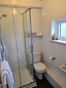 a bathroom with a toilet and a glass shower at Quay village 16 in Westport +22 photos