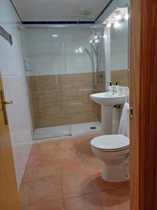 a bathroom with a shower and a toilet and a sink at Apartamento Terraza a la Almadraba in Barbate