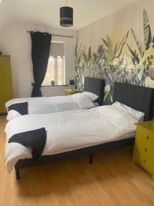 2 camas en una habitación con plantas en la pared en LOCH CONNELL LODGE rooms 1 2 3 4 5 en Letterkenny