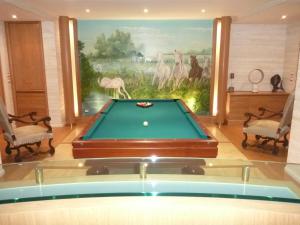 a pool table in a room with a painting at Villa vue mer-piscine-jacuzzi-billard-homecinema in Mireval
