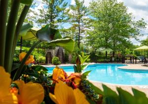a view of the pool at the resort with flowers at Hockley Valley Resort in Orangeville