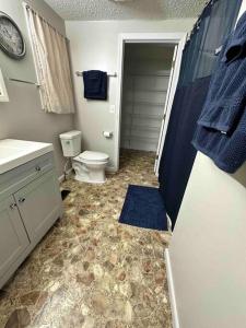 ピジョン・フォージにあるLarge Home - Walking Distance to Parkwayのトイレ、洗面台、シャワー付きのバスルーム +26枚の写真