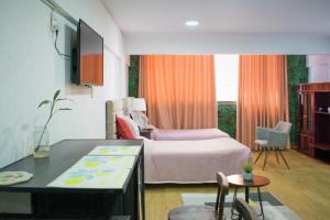 1 dormitorio con 1 cama y escritorio en una habitación en Skyline, en La Paz