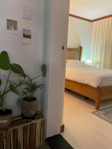 a bedroom with a bed and a potted plant at Escondite.no1 in Ulsan