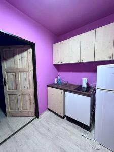 Kuchyňa alebo kuchynka v ubytovaní Prášily 100 - apartmány