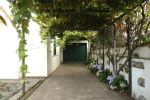 una pasarela con una puerta verde y vides en WelcomeBuddy - Mosteiros Vineyards (Praia&Sunset), en Mosteiros