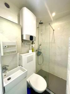 uma casa de banho com um WC, um lavatório e um chuveiro em Studio hyper centre ( 1-2 ) em Marselha