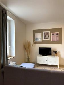 ein Wohnzimmer mit einem Sofa und einem TV in der Unterkunft Appartement central à Castelnaudary in Castelnaudary