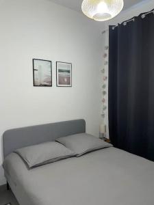 ein Schlafzimmer mit einem Bett und zwei Bildern an der Wand in der Unterkunft Appartement central à Castelnaudary in Castelnaudary