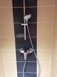 a shower with a shower head in a bathroom at Hôtel Lys de Marie in Lourdes