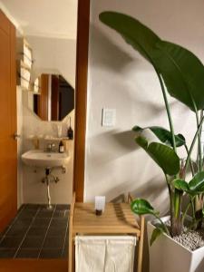 a bathroom with a sink and a potted plant at Escondite.no2 in Ulsan