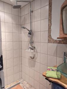 een douche in een badkamer met een wastafel bij Storchennest in Neuried