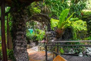 an entrance to a garden with a stone wall and plants at Hotel y Spa Isla de Baños in Baños