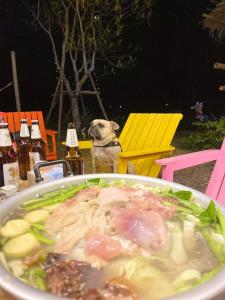 a dog sitting in front of a table with a bowl of soup at ฟาร์มผัก Thank you in Ban Kom