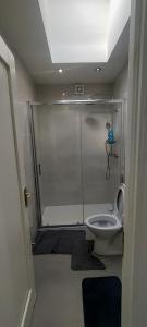 a bathroom with a shower and a toilet at Cozy Studio Apartment in Dublin