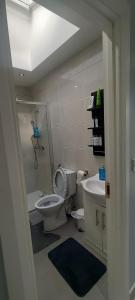 y baño con aseo y lavamanos. en Cozy Studio Apartment, en Dublín