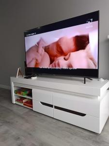 Televízia a/alebo spoločenská miestnosť v ubytovaní Apartament Zielony Zakątek Wrocław free parking, ochrona