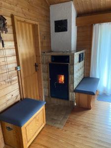 a living room with a fireplace in a log cabin at Blockhaus FerienZauber III in Bromskirchen