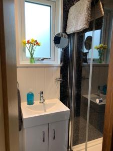 a bathroom with a sink and a shower at Tides Reach, Deluxe Shepherds hut, 100m from the Beach in Saint Merryn