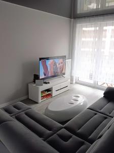 Televízia a/alebo spoločenská miestnosť v ubytovaní Apartament Zielony Zakątek Wrocław free parking, ochrona
