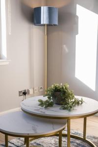 una mesa con una lámpara y una planta en ella en King Street Stay - SJA Stays - Luxury 2 Bed Apartment en Aberdeen