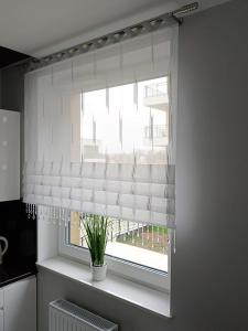 Kuchyňa alebo kuchynka v ubytovaní Apartament Zielony Zakątek Wrocław free parking, ochrona