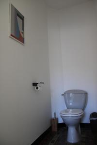 baño con aseo y una foto en la pared en Superbe appartement avec parking sur place, en Nimes