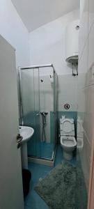 a bathroom with a shower and a toilet and a sink at The house of dreams in Shkodër