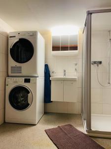 baño pequeño con lavadora y lavamanos en Lovely & great equipped wooden Alp Chalet flat, en Kandersteg