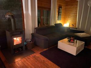 a living room with a couch and a wood stove at Blockhaus FerienZauber II in Bromskirchen