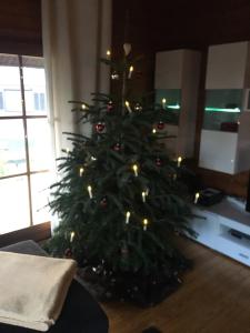 a green christmas tree in a living room at Blockhaus FerienZauber II in Bromskirchen
