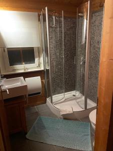 ein Bad mit einer Dusche, einem WC und einem Waschbecken in der Unterkunft Blockhaus FerienZauber II in Bromskirchen