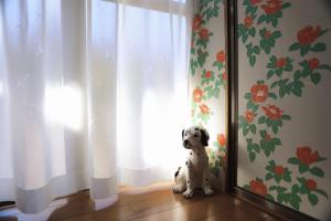 和主人一起入住大正の宿　浪漫邸的宠物