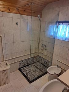 a bathroom with a shower with a sink and a toilet at Chalet Hill Zabljak in Žabljak