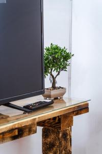 a computer monitor and a plant on a table at Casa Rosu in Cluj-Napoca