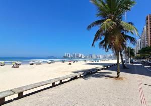a palm tree on a beach with the ocean and buildings at Ap confortável - Praia de Pitangueiras - Beach Host in Guarujá