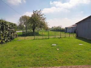 ein Grasfeld mit einem Zaun und einem Baum in der Unterkunft Ferme de l'Etang - Gîte in Épuisay