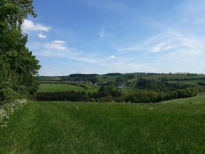 un campo verde con árboles y casas a lo lejos en Ferienwohnung Kribs, en Arzfeld