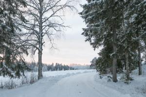Kopsamonlinna v zimě