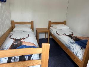 2 Betten mit Hirschen auf einem Zimmer in der Unterkunft Rena HOSTEL EINARA in Rena