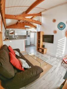 een woonkamer met een bank en een televisie bij La Caravelle - Chalet t2 climatisé lit queen size ou twin in Tarbes