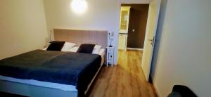 1 dormitorio con 1 cama y 1 sofá en una habitación en Ferienwohnung Klettbach - 50 m², 2 Zimmer, Küche, Bad, PKW-Stellplatz, en Klettbach