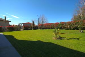 podwórko z zielonym trawnikiem z drzewem w obiekcie El Chalet de Lola w mieście Santillana del Mar