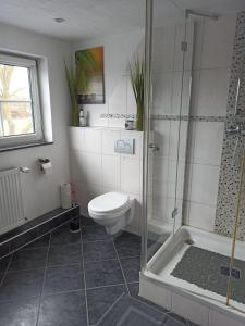 a bathroom with a toilet and a glass shower at Schöne Ferienwohnung mit Balkon auch für Handwerker und Monteure in Borsfleth